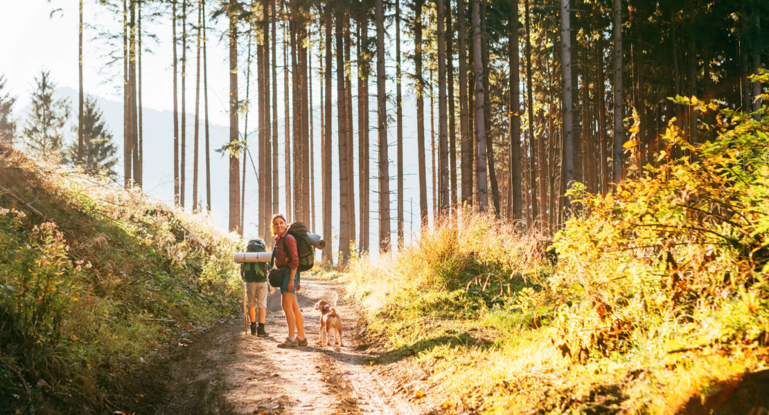 Mother and son with their family member beagle dog walking by the trekking path with backpacks under the evening sun light.