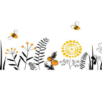 Alles rund um die Biene: Vorlesetag und Besuch beim Imker in Miesenbach am 8. Juni 2024, 9.00 Uhr, Treffpunkt Bibliothek