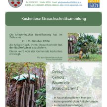 Kostenlose Strauchschnittsammlung von 21. – 31. Oktober 2024