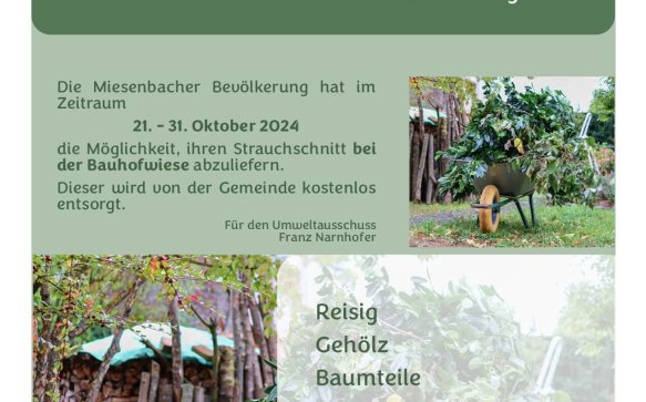 Kostenlose Strauchschnittsammlung von 21. – 31. Oktober 2024