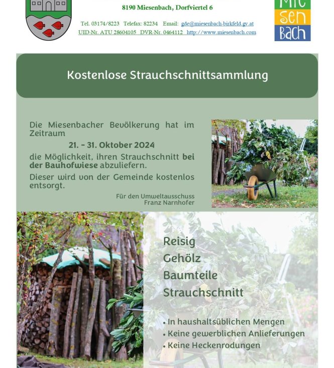 Kostenlose Strauchschnittsammlung von 21. – 31. Oktober 2024