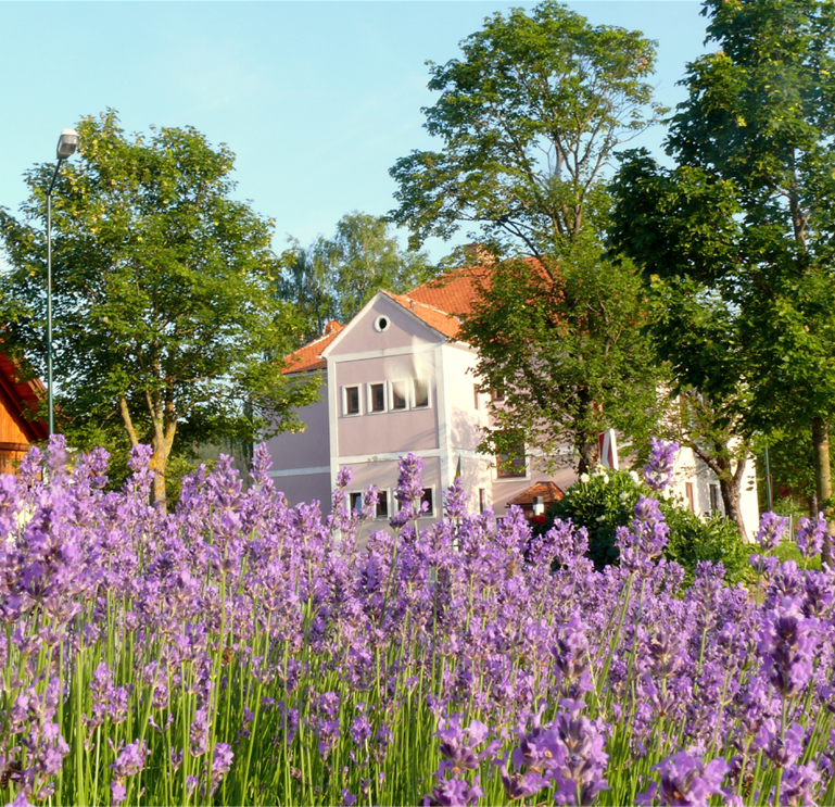 Bild1 Drohne Dorf Sommer