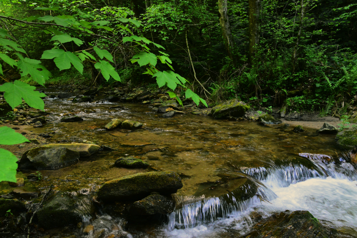 Wasserweg Miesenbach Wasserweg Miesenbach